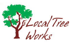 Local Tree Works Logo